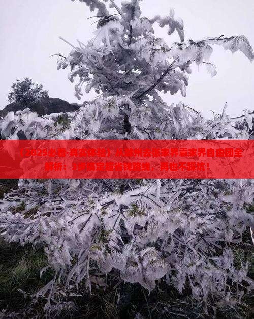 滁州去张家界袁家界自由团