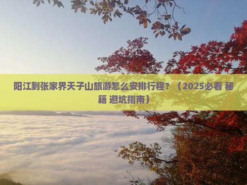 阳江到张家界天子山哪里玩