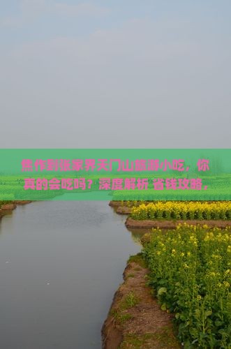 焦作到张家界天门山旅游小吃