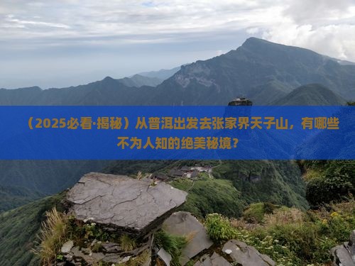 普洱去张家界天子山哪里玩