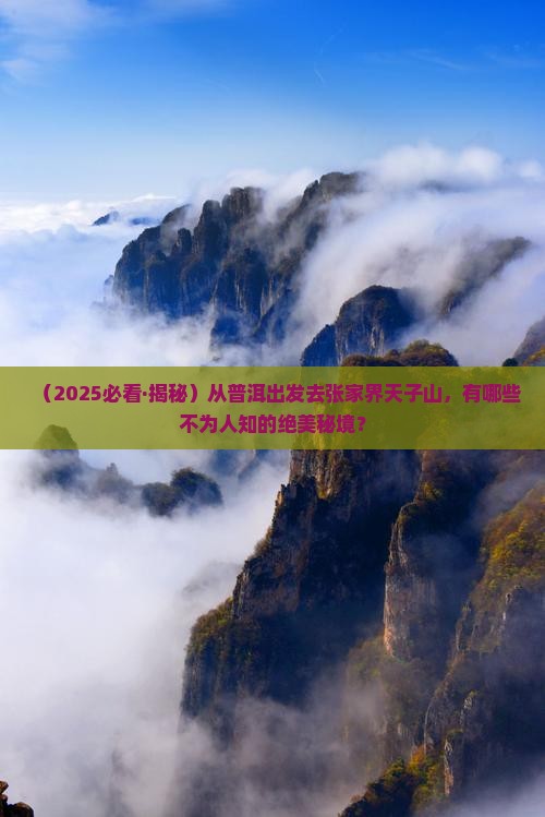 普洱去张家界天子山哪里玩