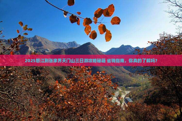 怒江去张家界天门山三日游