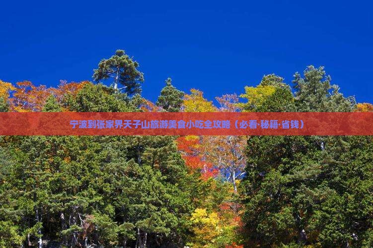 宁波到张家界天子山旅游小吃