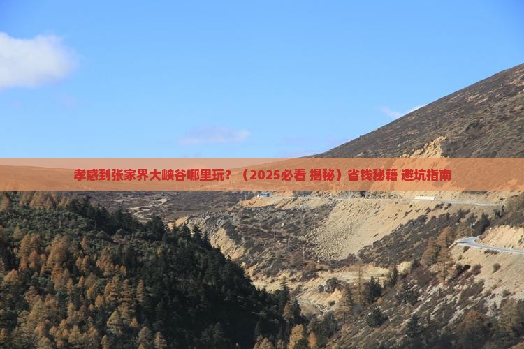 孝感到张家界大峡谷哪里玩