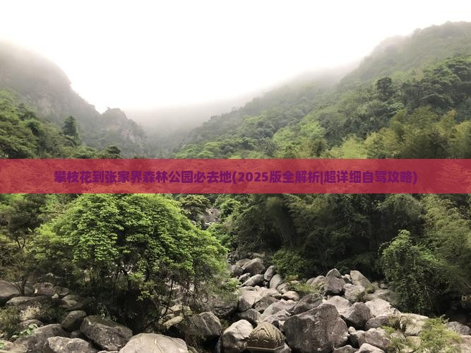 攀枝花到张家界森林公园必去地