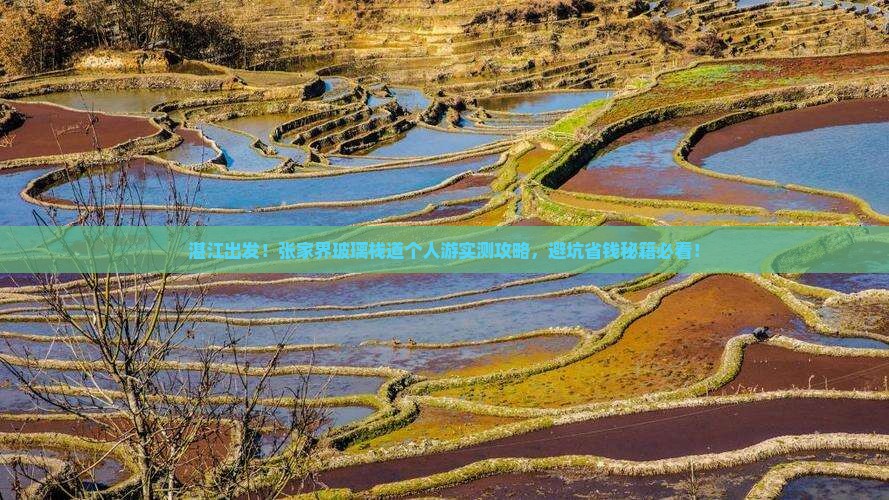 湛江到张家界玻璃栈道个人游
