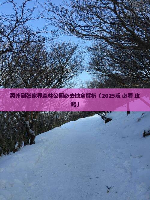惠州到张家界森林公园必去地