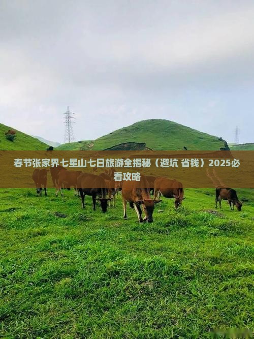 春节去张家界七星山七日游