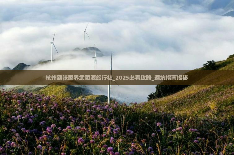 杭州到张家界武陵源旅行社