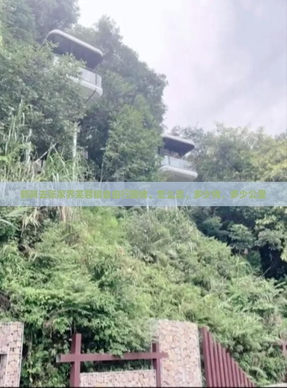 鹤岗去张家界芙蓉镇自由行