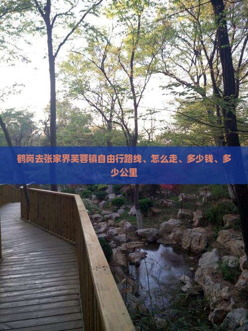 鹤岗去张家界芙蓉镇自由行