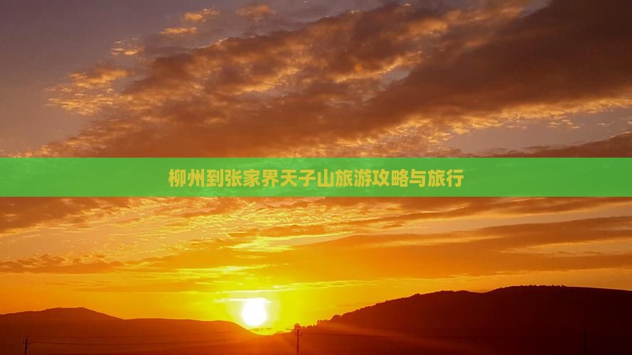 柳州到张家界天子山旅行社