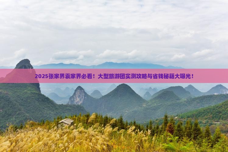 张家界去张家界袁家界大型旅游团