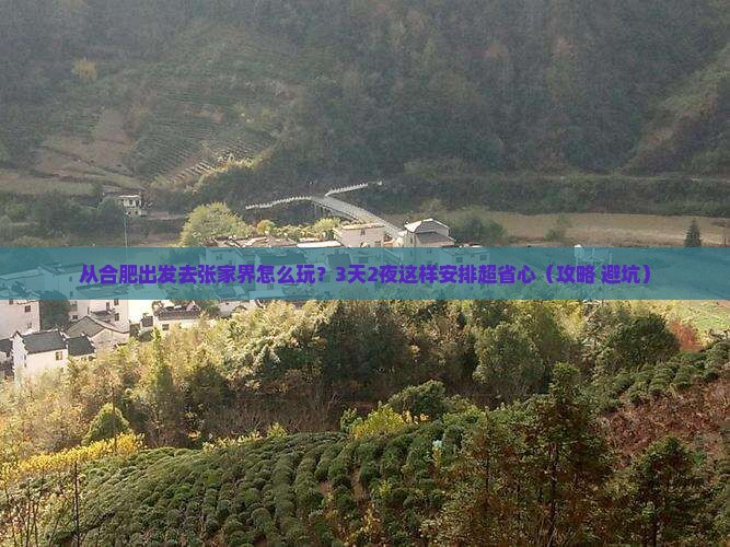 巢湖去张家界森林公园个人游