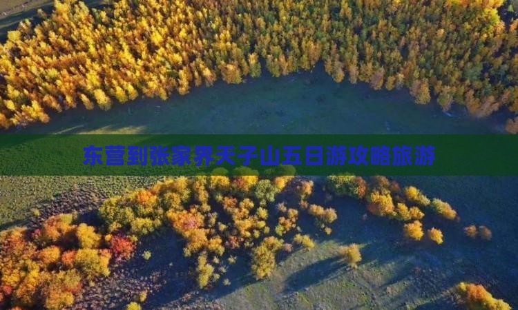 东营到张家界天子山五日游