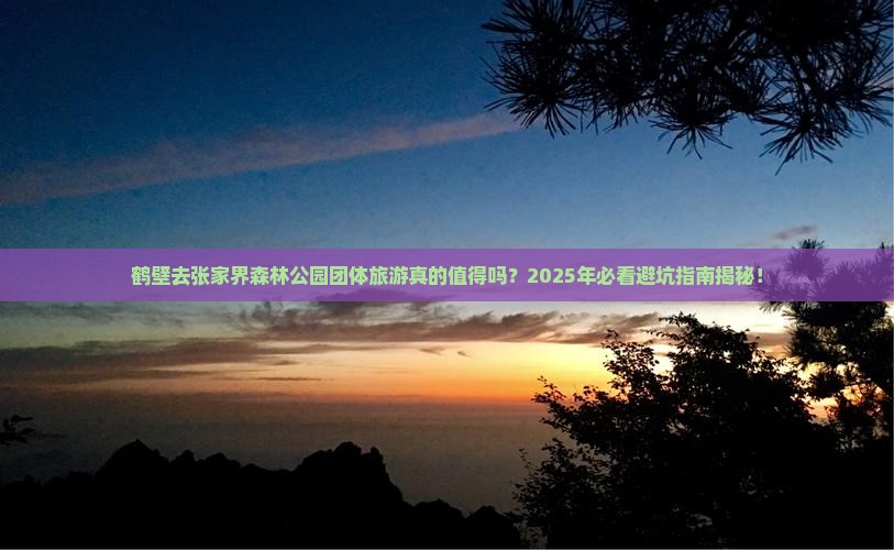 鹤壁去张家界森林公园团体旅游