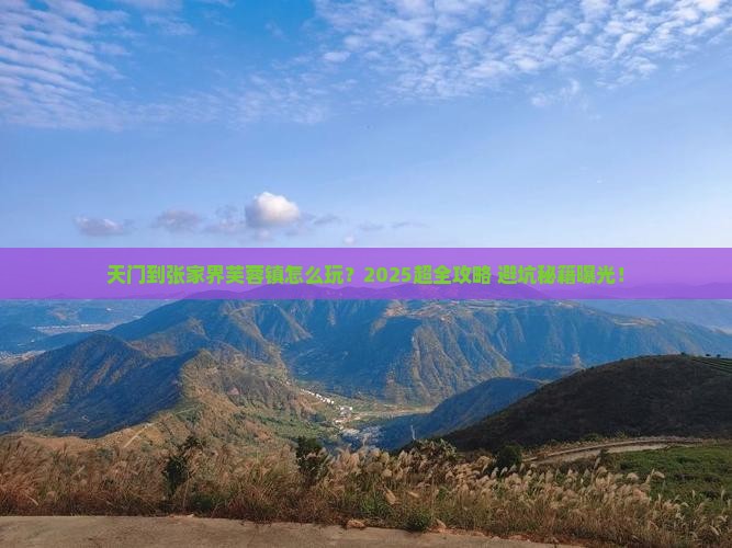天门到张家界芙蓉镇团体旅游
