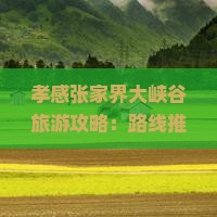 孝感去张家界大峡谷哪里玩
