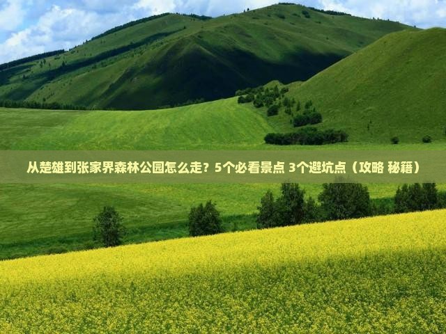楚雄到张家界森林公园攻略