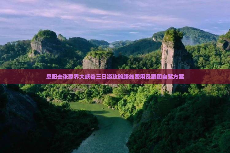 阜阳去张家界大峡谷三日游