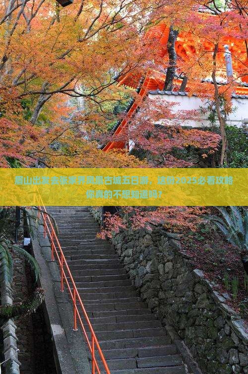 眉山去张家界凤凰古城五日游