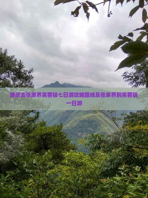 迪庆去张家界芙蓉镇七日游