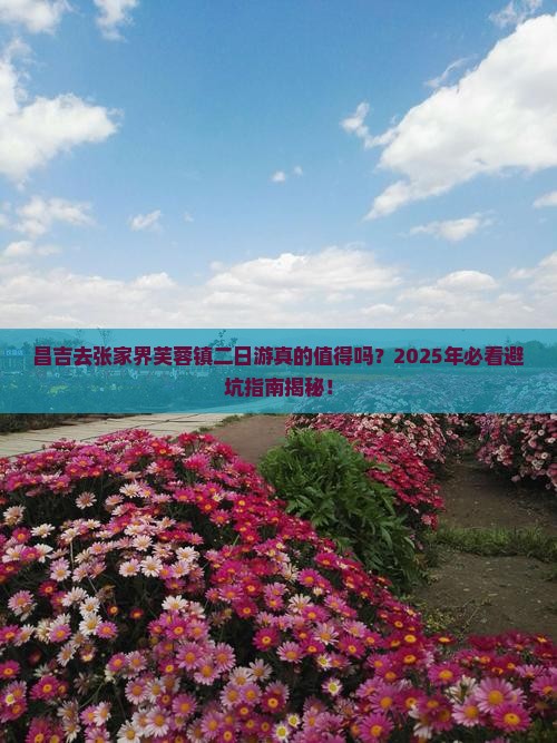 昌吉去张家界芙蓉镇二日游