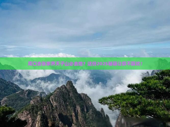周口去张家界天子山必去地