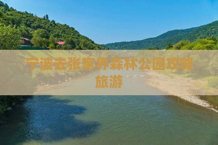 宁波去张家界森林公园攻略