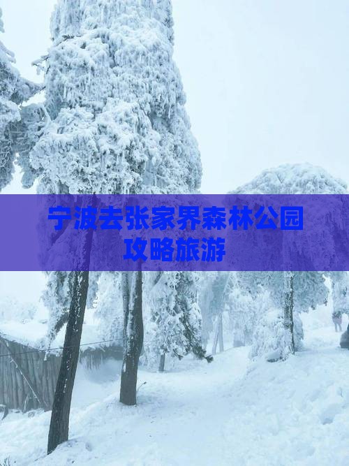 宁波去张家界森林公园攻略