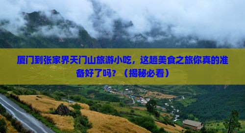 厦门到张家界天门山旅游小吃