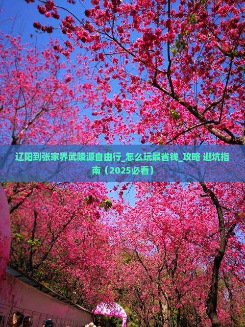 辽阳到张家界武陵源自由行 辽阳到张家界武陵源自由行