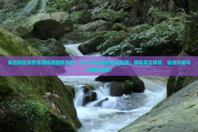 南昌到张家界玻璃栈道团体旅游