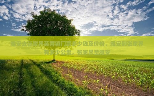 雅安去张家界芙蓉镇门票