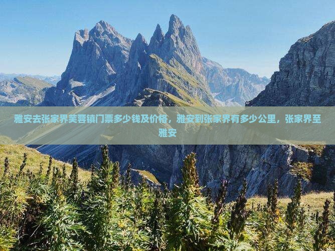 雅安去张家界芙蓉镇门票
