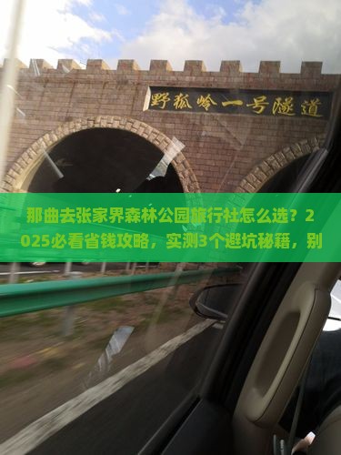 那曲去张家界森林公园旅行社
