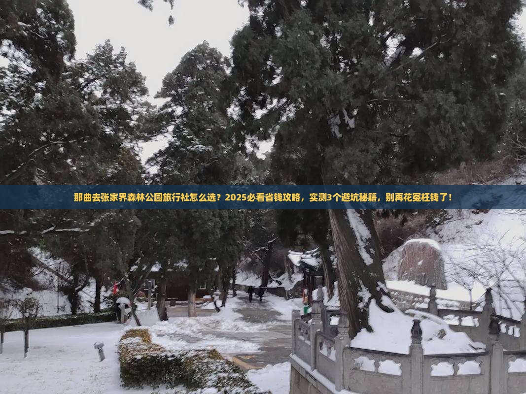 那曲去张家界森林公园旅行社