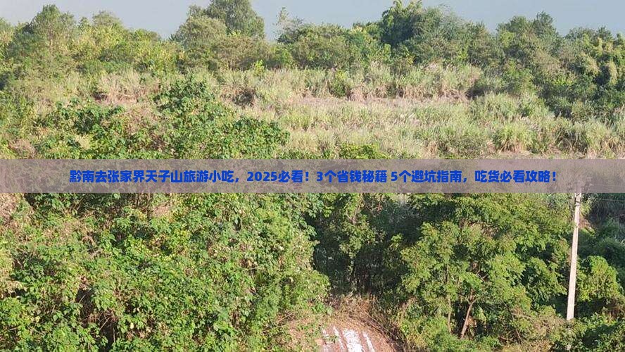 黔南去张家界天子山旅游小吃