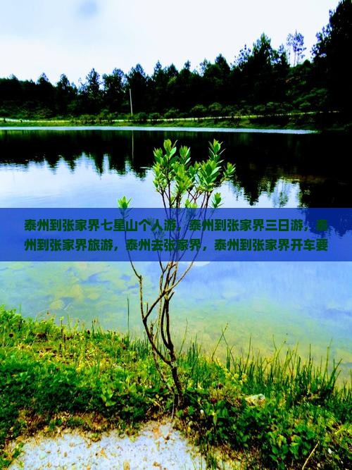 泰州到张家界七星山个人游