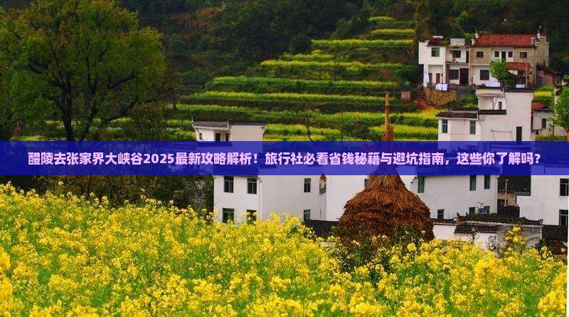 醴陵去张家界大峡谷旅行社