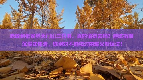赤峰到张家界天门山三日游