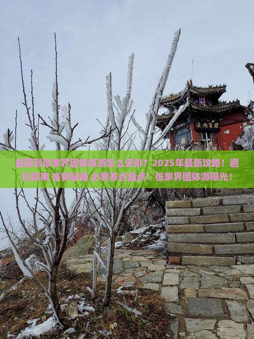 益阳到张家界团体旅游