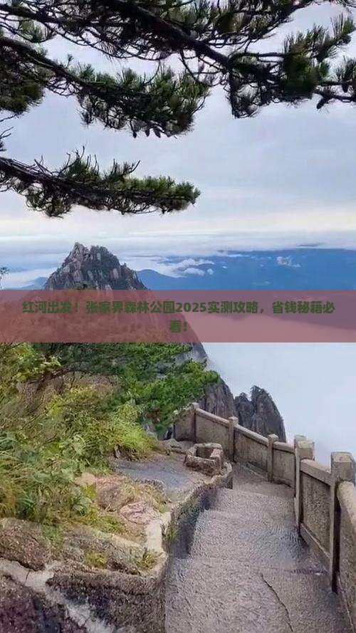红河去张家界森林公园旅游