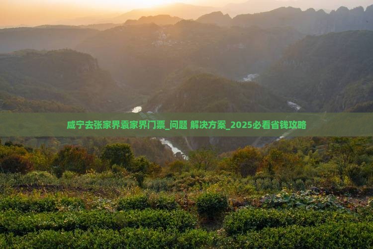 咸宁去张家界袁家界门票