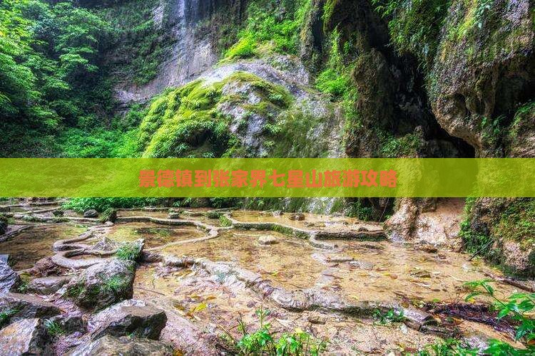 景德镇到张家界七星山旅游