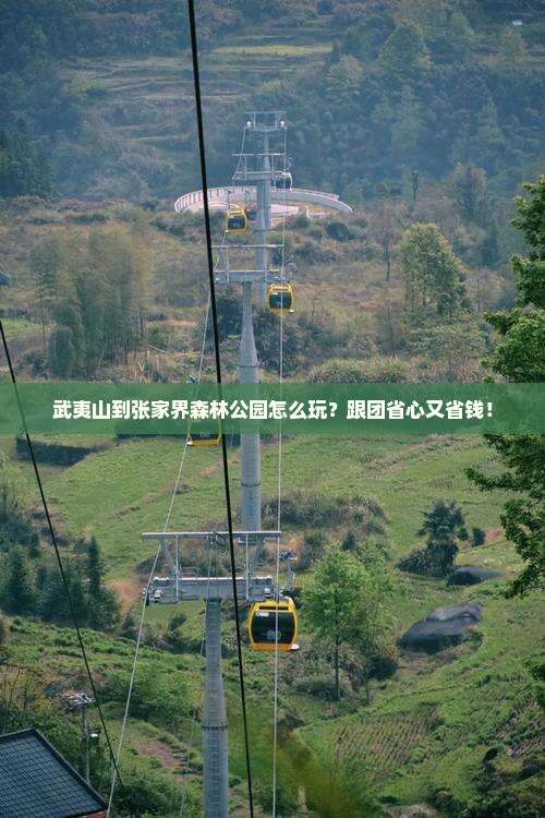 武夷山到张家界森林公园大型旅游团
