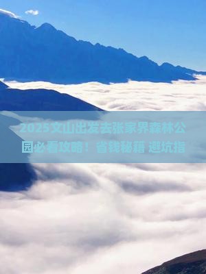 文山去张家界森林公园景点