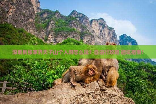 深圳到张家界天子山个人游