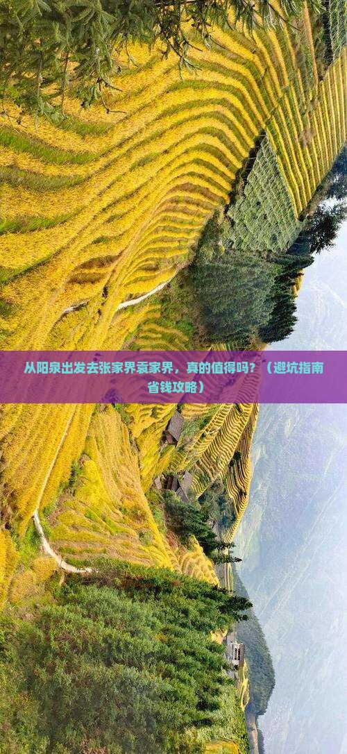 阳泉到张家界袁家界景点
