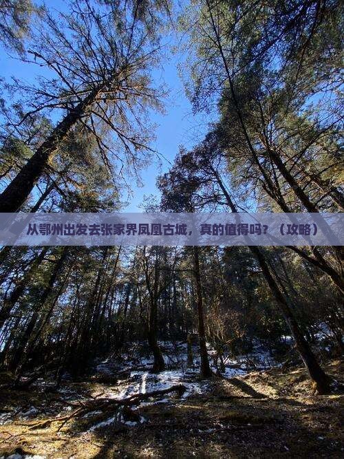 鄂州到张家界凤凰古城旅游